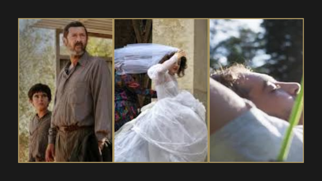 Three-film collage featuring stills from Aqui, Orange-Flavoured Wedding (Mariage au goût d'orange), and Think Good (Si Tu Penses Bien)