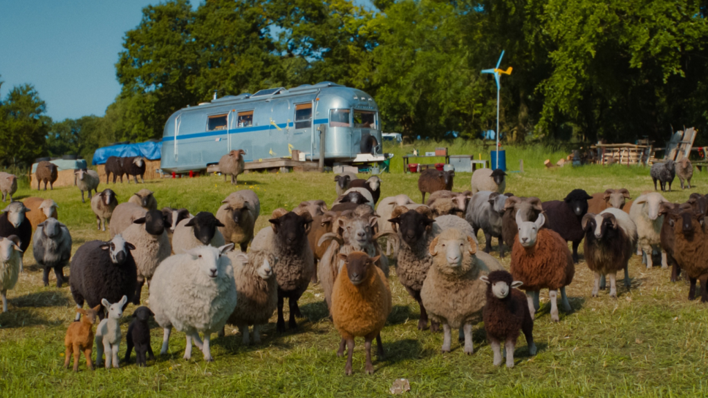 The Sheep Detectives (2026) - Flock of Sheep standing outside the home still